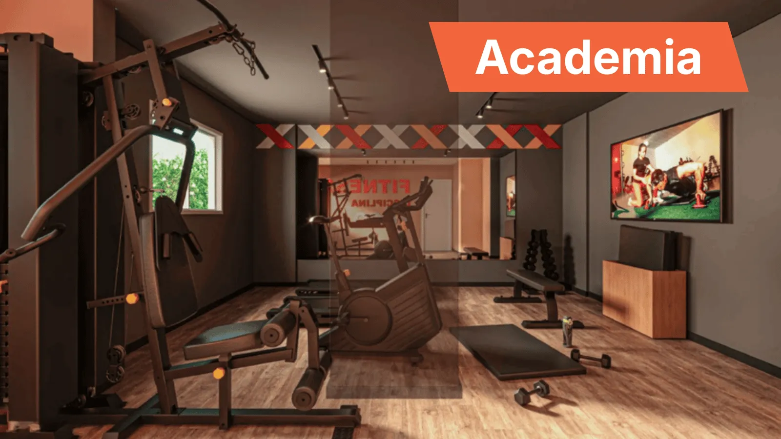 Academia